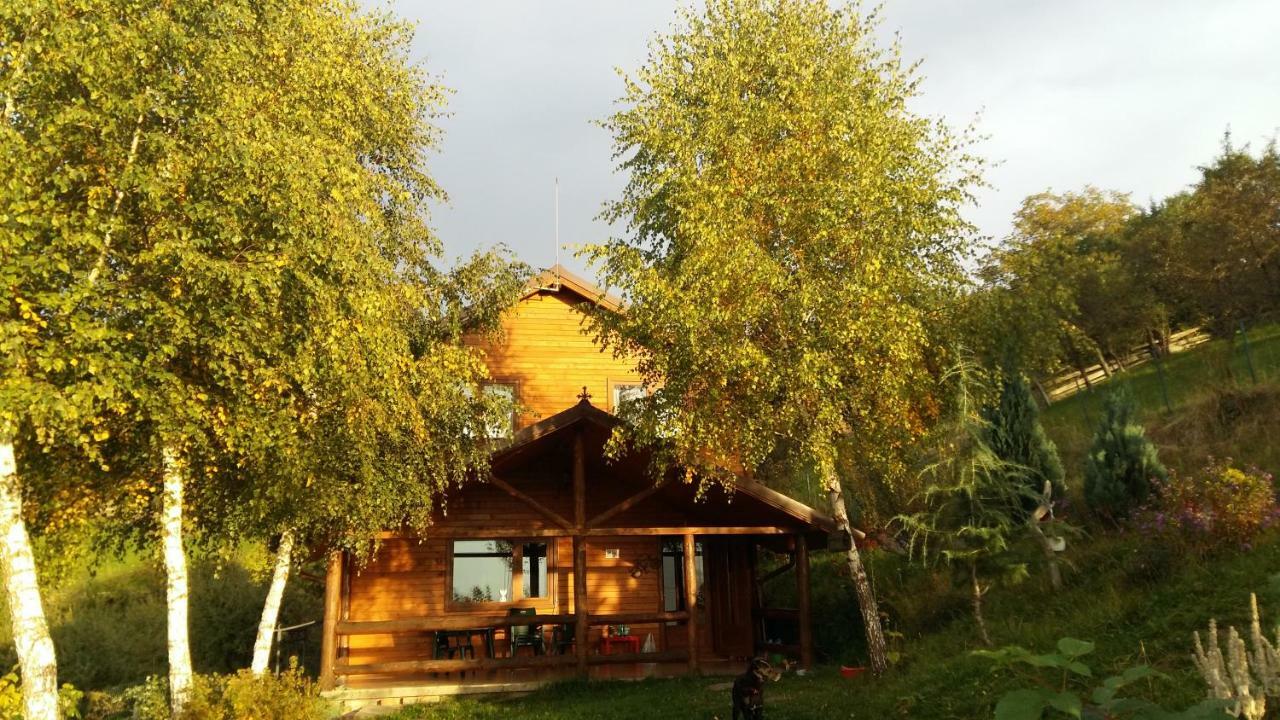 הוילה בראן Casa Zara מראה חיצוני תמונה